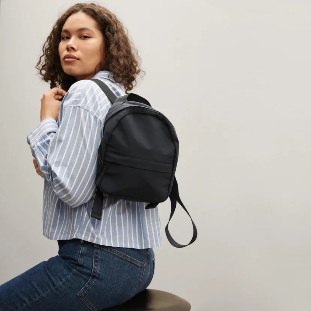 Everlane The Mini Backpack